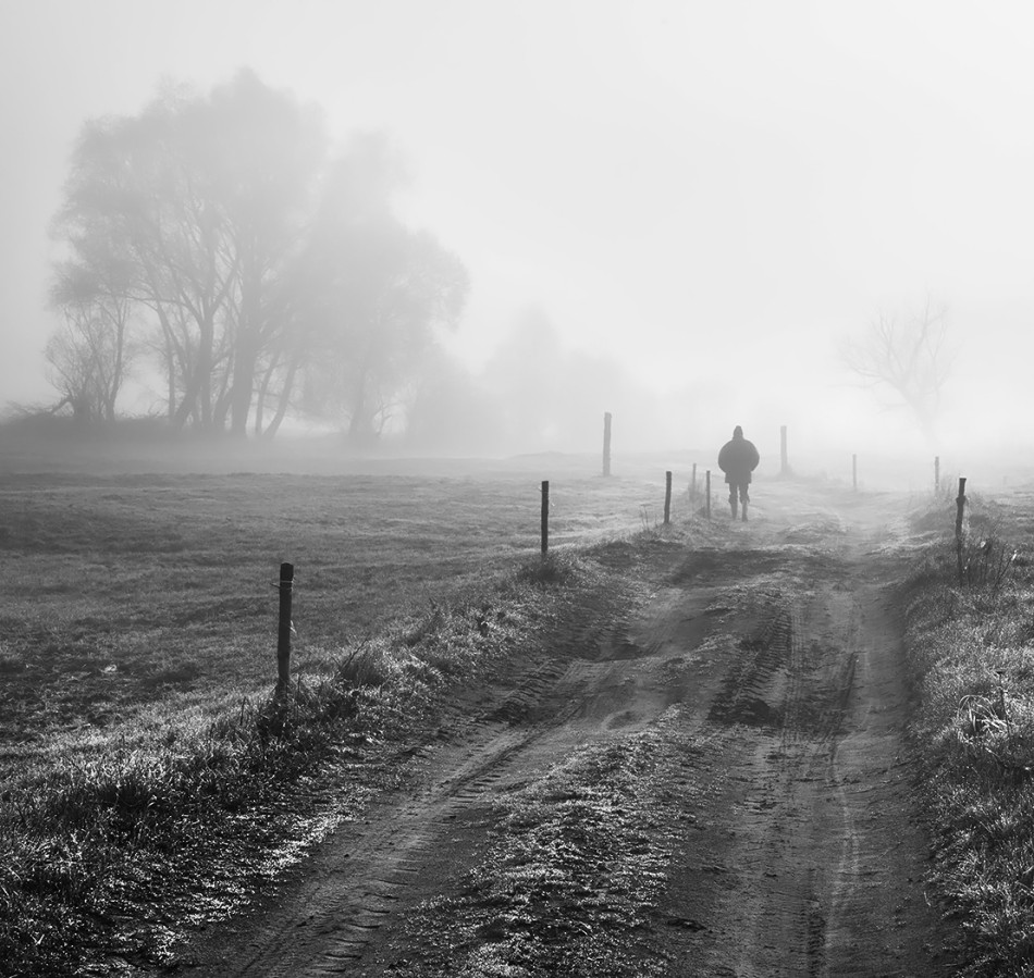 Świtem kiedy rosa jeszcze. . Zdjęcie 339444