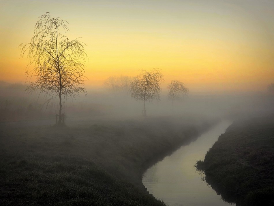 Cisza o poranku. . Zdjęcie 338548