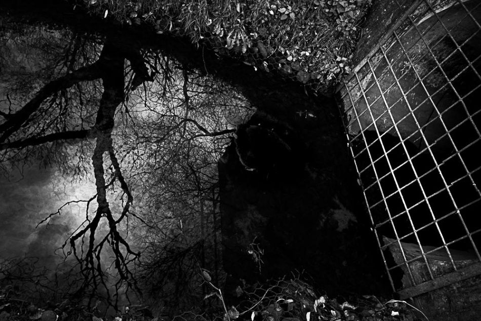 czarna woda. -. Zdjęcie 337168