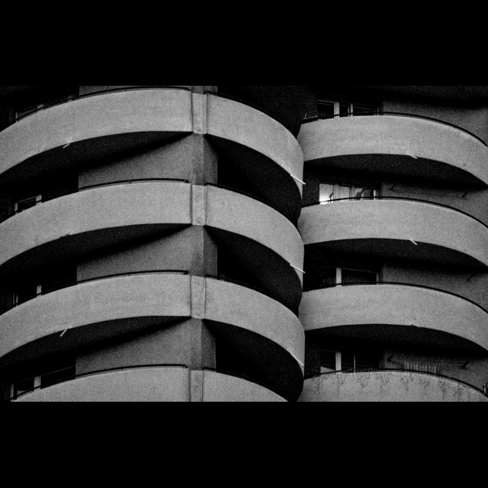 Katowickie Kukurydze. . Zdjęcie 337097