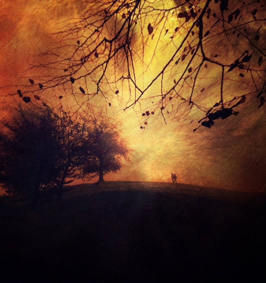 NOVEMBE R. . Zdjęcie 336730