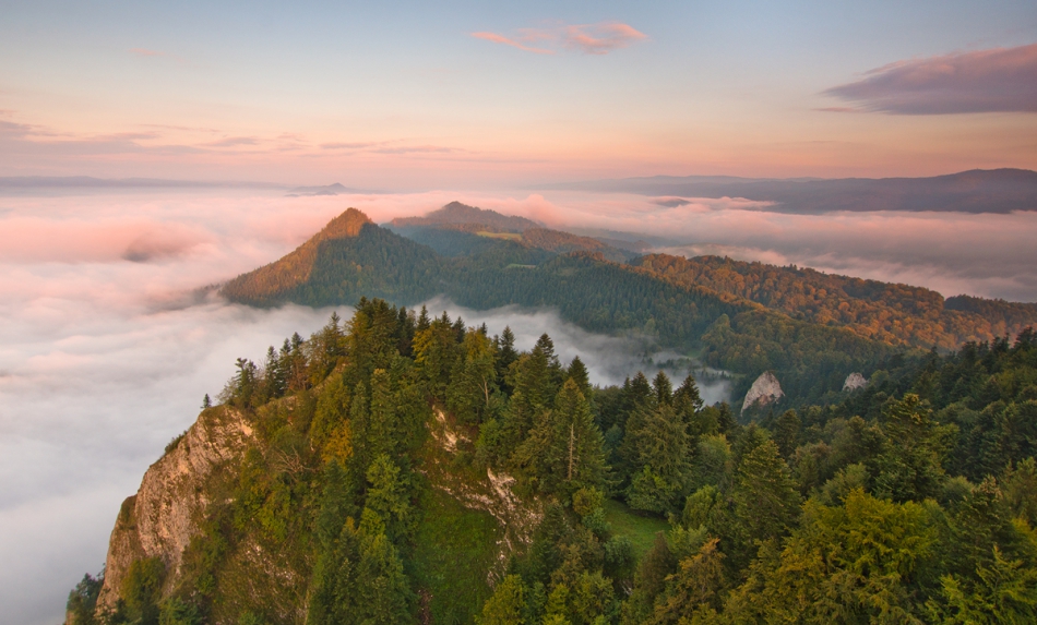 master95 - ***. . Zdjęcie 186206