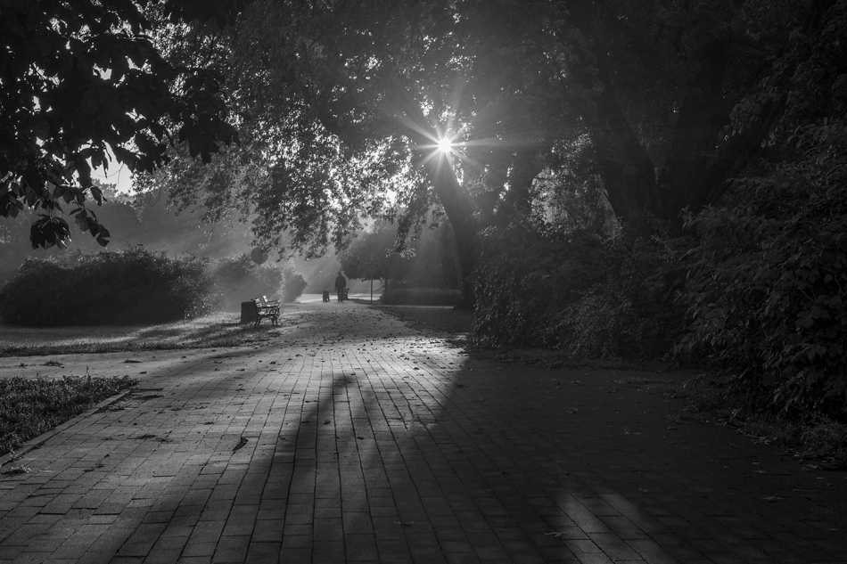 akrims - . . Zdjęcie 297056