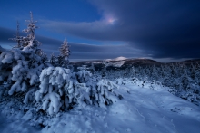 The Brightest Night