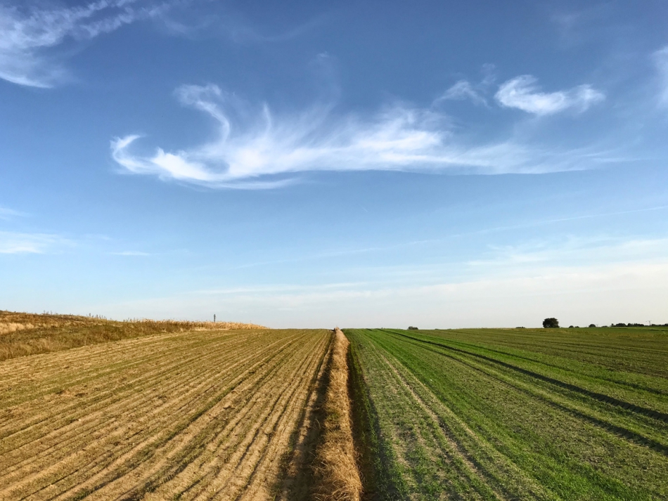 hubert_kwiatkowski - . . Zdjęcie 261903
