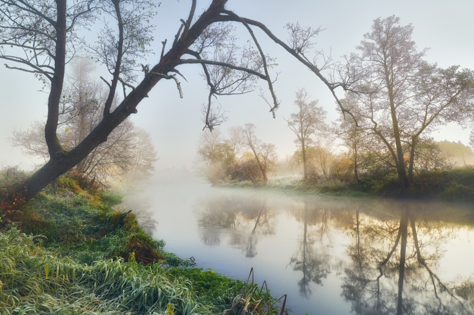 shooter76 - . . Zdjęcie 299623