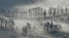 Naturalny monochrom