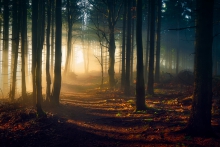 Path of light