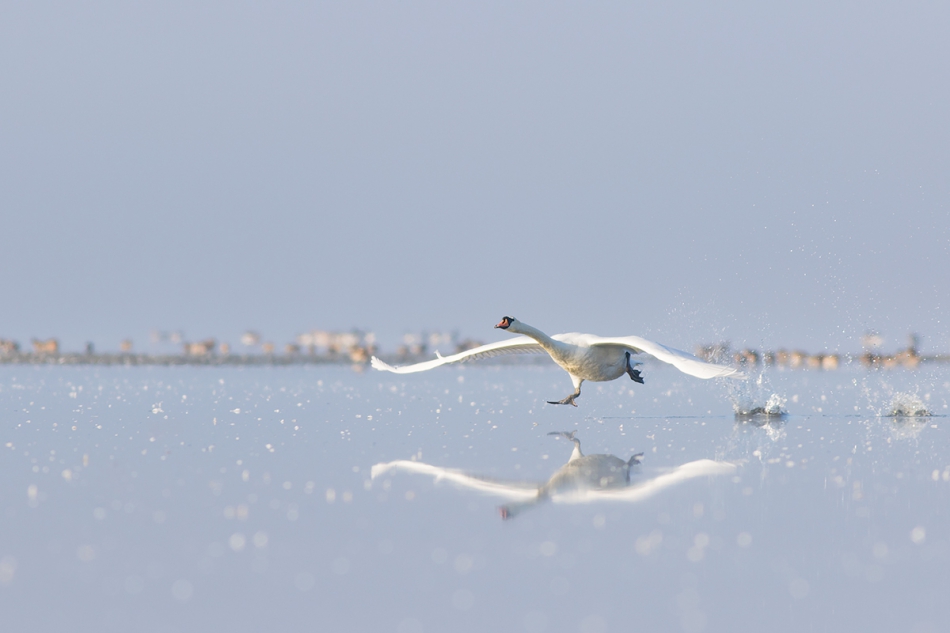 mateuszmm - . . Zdjęcie 181205