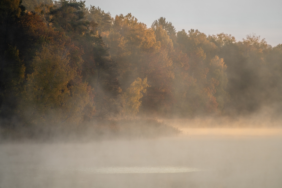 Złocienie jesieni. . Zdjęcie 336580