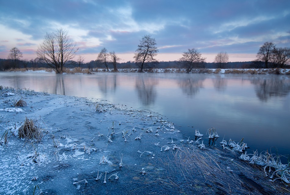 ***. . Zdjęcie 338437