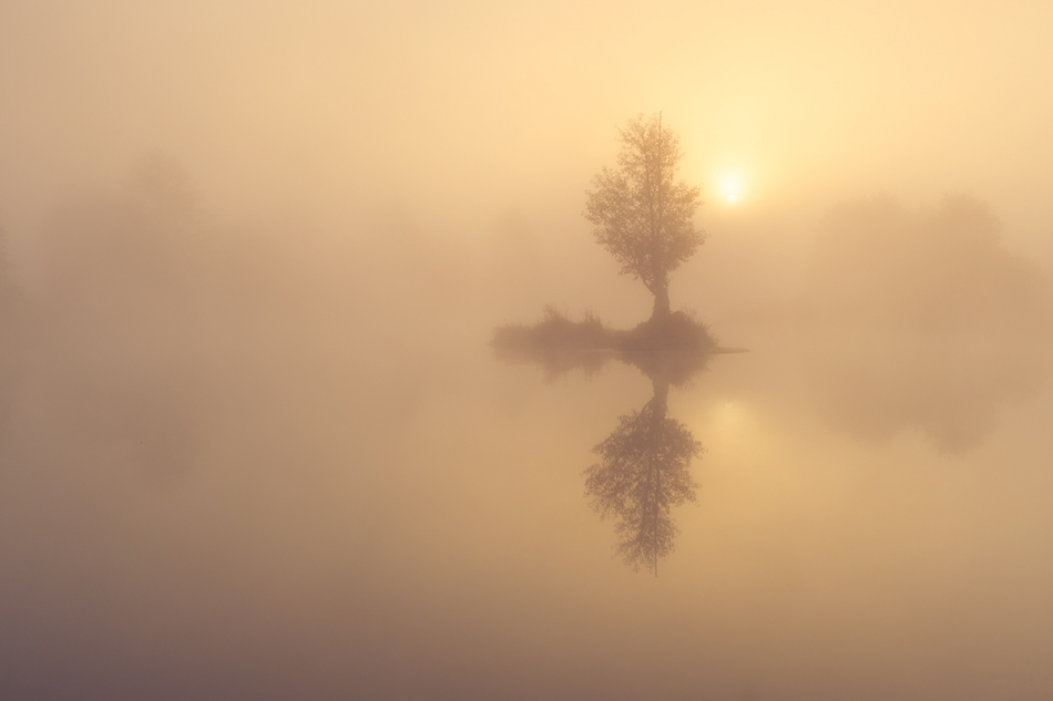 walz - ***. . Zdjęcie 327580