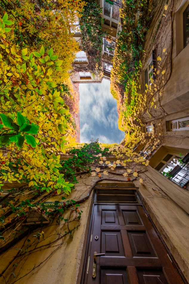 .. . Zdjęcie 336487