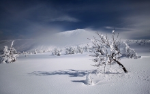 Karkonosze