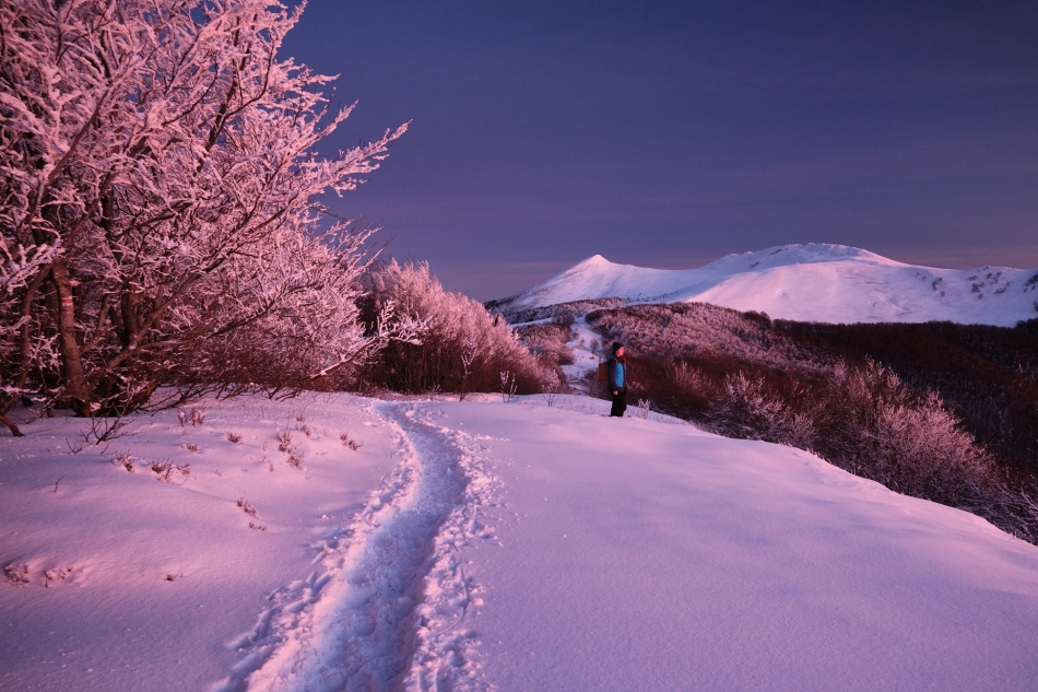 szymon_59 - . Bieszczady, grudzień 2024. Zdjęcie 329539