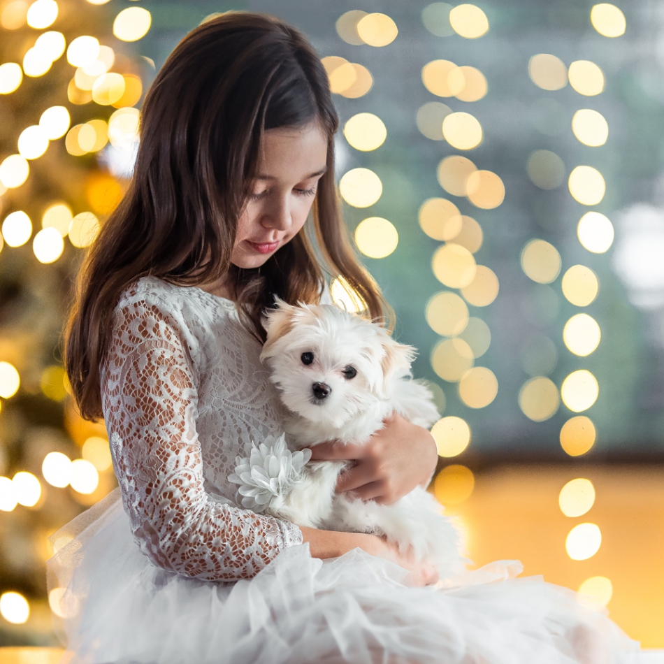 gaco - Maja i Sisi . . Zdjęcie 310342