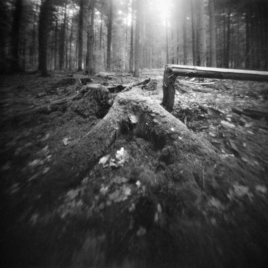 miljo77 - . fotografia otworkowa  (pinhole, camera obscura)  skan z negatywu 6x6cm. Zdjęcie 291752