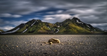 Storkonufell