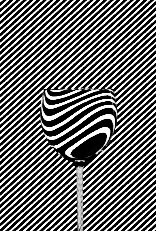 mariusz_je - . . Zdjęcie 261711