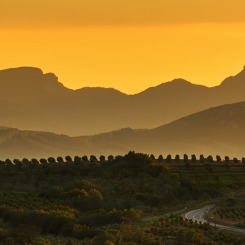 W drodze na Pireneje