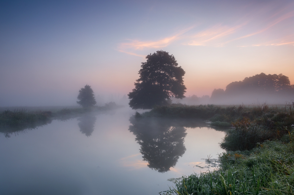 Brak tytułu. . Zdjęcie 274782