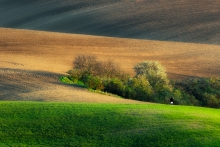 Fotograf
