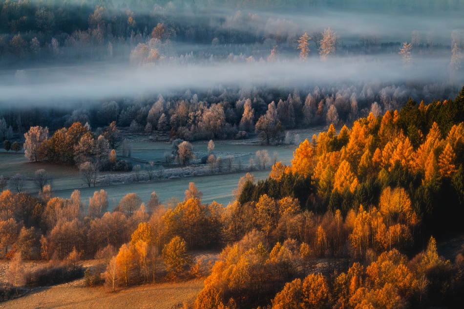 Autumn Deluxe.... . Zdjęcie 336271