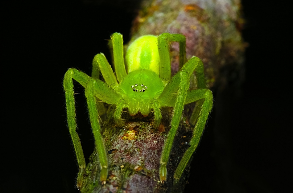 roman53 - . . Zdjęcie 299836