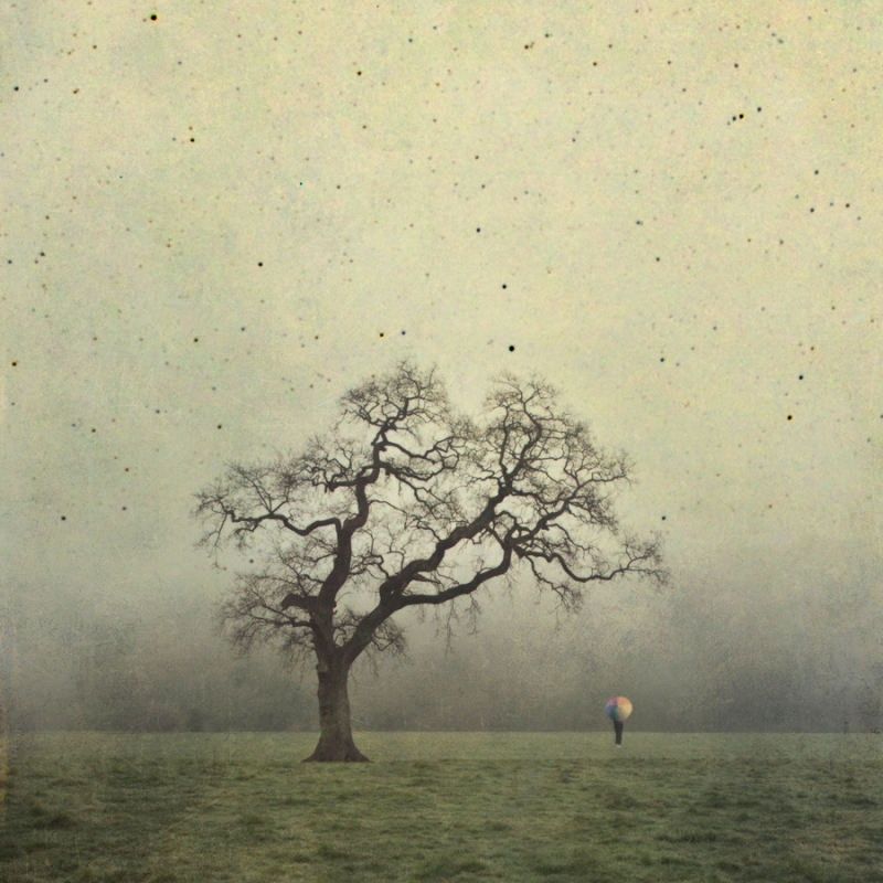 stefan - między dniem a nocą. . Zdjęcie 95093