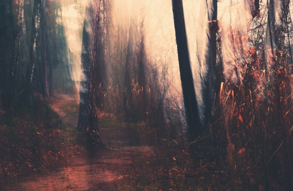 keytoo_ - Autumn Colors. . Zdjęcie 327478
