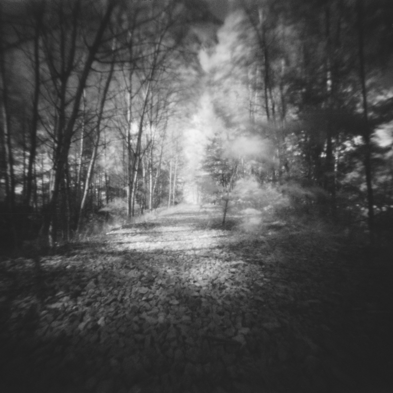 miljo77 - . Oglądaj tylko na białym tle!  fotografia otworkowa (pinhole, camera obscura)  skan negatywu 6x6cm  AGFA Aviphot 200@12 Ilfotec DD-X. Zdjęcie 278723