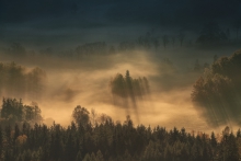 A Colour of Light II