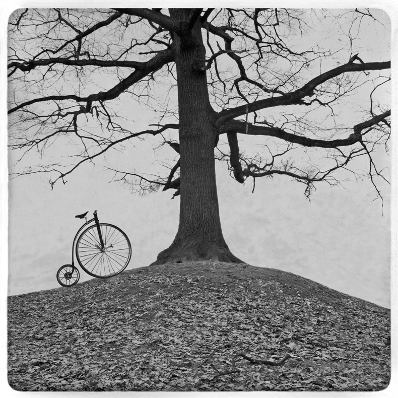 matrix1970 - ***. . Zdjęcie 131211