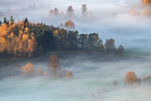 The Land of Morning Mis...