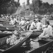 Dal Lake series