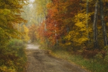 Barwy jesieni