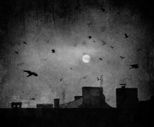 Dark Sunny Day