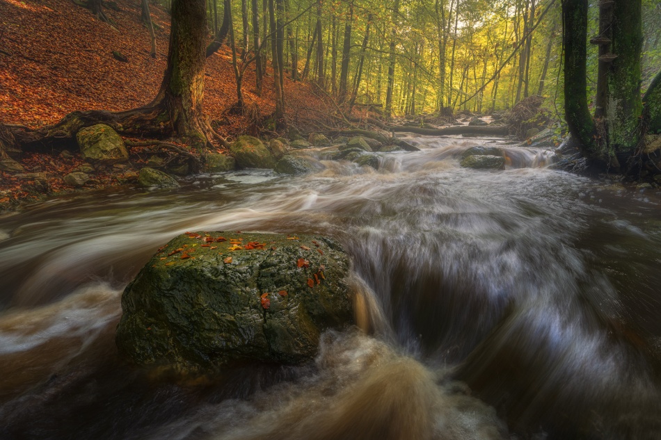 Jesienna rzeka ciszy. . Zdjęcie 337114