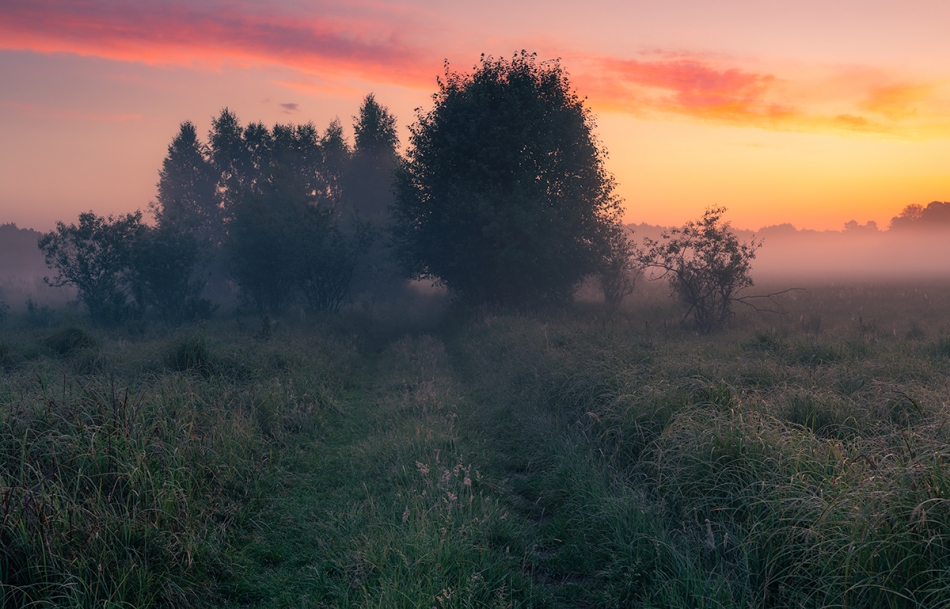 walz - ***. . Zdjęcie 325500