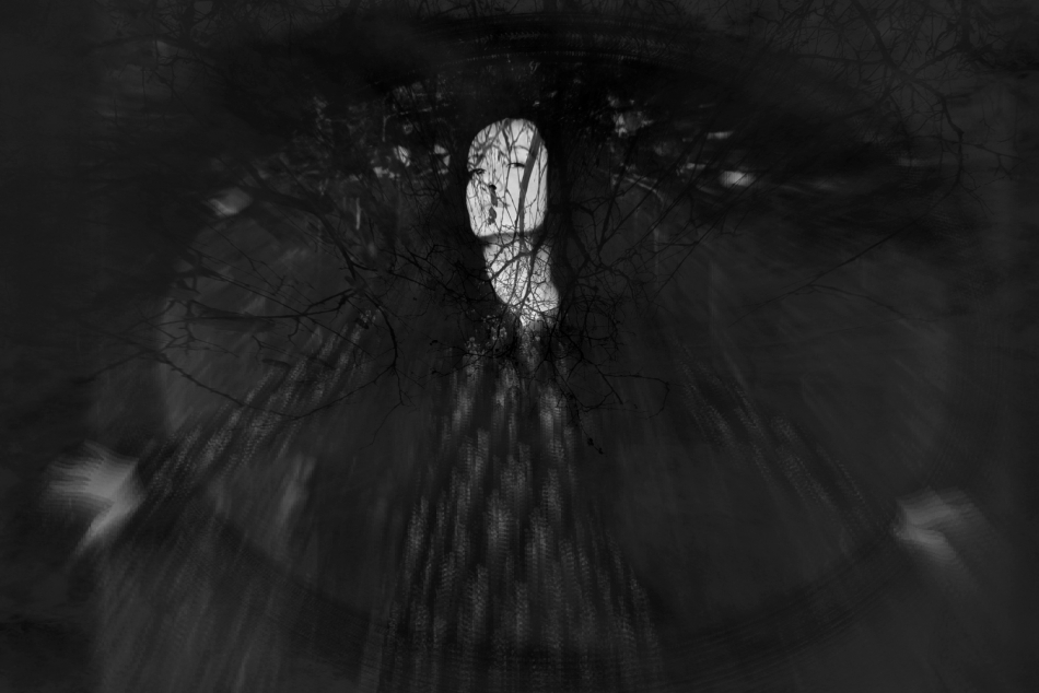 Mirror of the Past. . Zdjęcie 333319