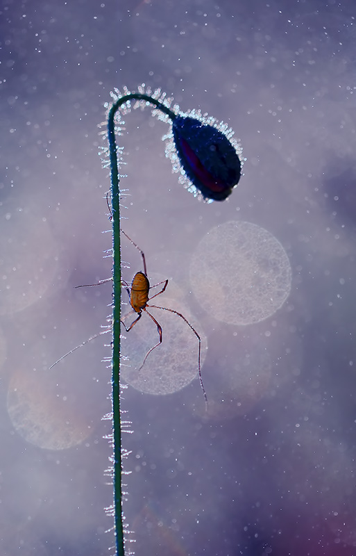 bluejeans - Czas na łowy. . Zdjęcie 115112