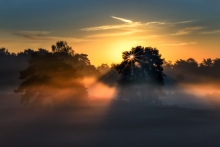 AWAKENING