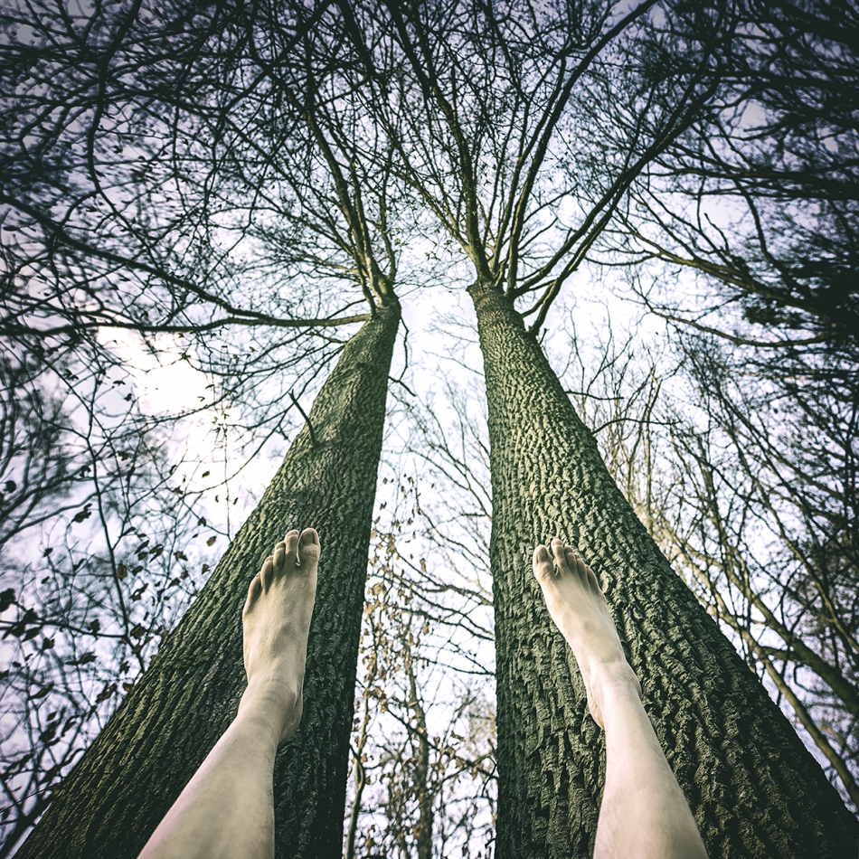 kikul1974 - symbioza. . Zdjęcie 264360