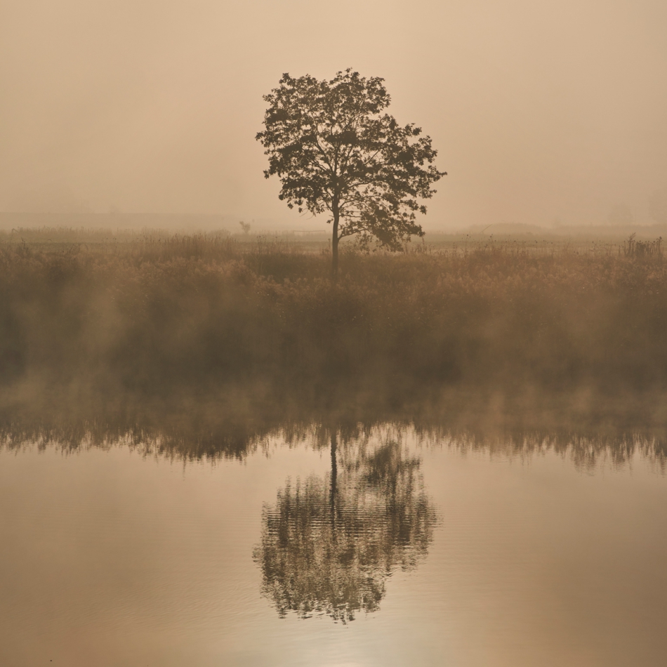 master95 - ***. . Zdjęcie 234157