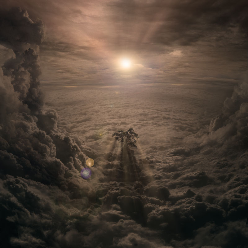 Solar tree.... . Zdjęcie 38266