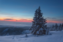 Winter Awakening.