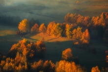 Autumn's Majesty