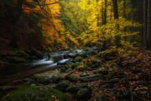 A Sacred Place
