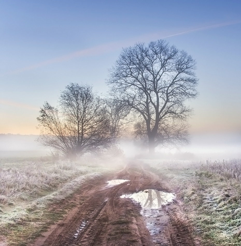 ****. Zapraszam na PE. Zdjęcie 337179