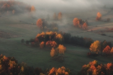 An Autumn Morning
